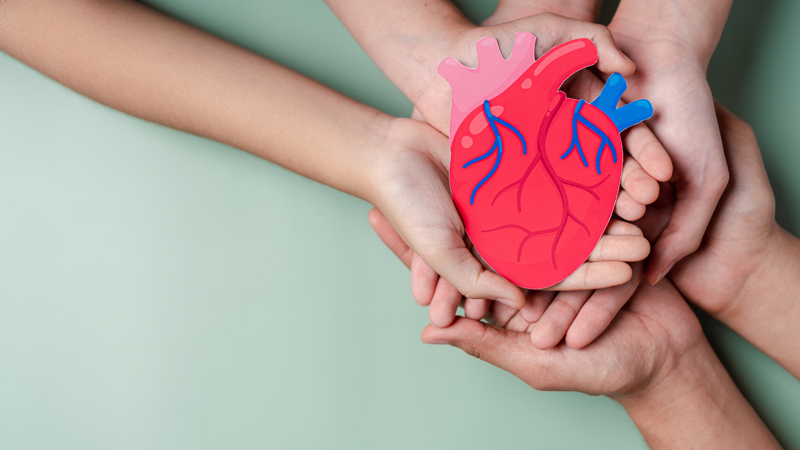 Coronary Artery Disease (CAD) Overview: A comprehensive guide covering causes, symptoms, risk factors, and treatment options.