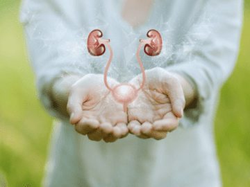 The Role of Peral and Potassium in Kidney Stone Management: Key insights from recent studies on prevention and treatment strategies.