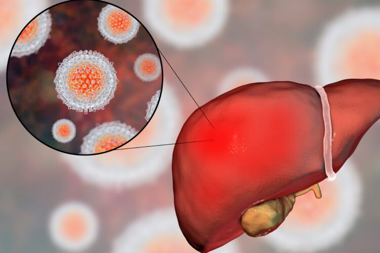 Hepatitis B Overview: Viral infection affecting the liver, causing fatigue, jaundice, and long-term health risks if untreated.