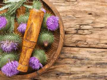 Milk thistle (Silybum marianum), rich in silymarin, offers antioxidant, anti-inflammatory, and liver-protective benefits, aiding liver health and regeneration.
