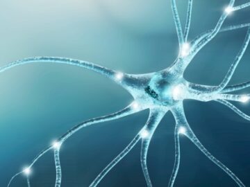 NEURO Forte liquid supplement for neurological and psychological health, reducing stress, enhancing mood with B vitamins and Ginkgo Biloba