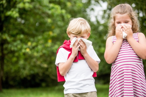 CEDAL Cough Syrup soothes coughs, eases throat irritation, and boosts immunity naturally with Honey, Chamomile, Lemon, and Strawberry essences.