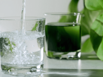 Detox on a budget with affordable hydration, detoxifying foods, and Zenergie products like Chlorophyll Water and juice packages.