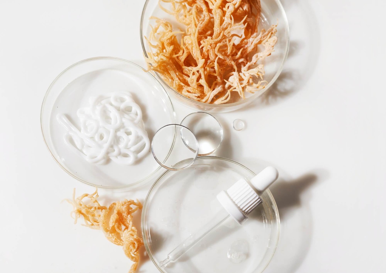 Sea moss and skincare ingredients in glass dishes, featuring dried sea moss, a serum dropper, and a creamy skincare formulation, highlighting its use in beauty and wellness. Vitaminati