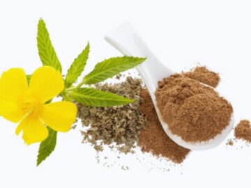 Damiana plant (Turnera diffusa) with vibrant yellow flowers, dried leaves, and finely ground powder in a white spoon, highlighting its herbal and medicinal uses. A popular natural remedy for libido, mood enhancement, and digestion.