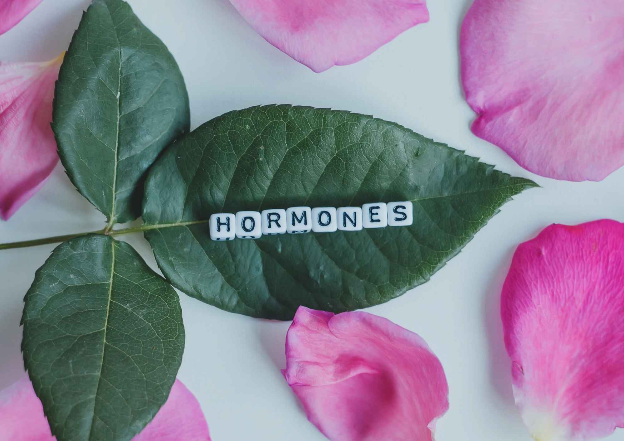 دور الهرمونات في الصحة الجنسية: فهم تأثيرها وأهميتها