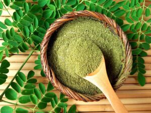 Fresh green moringa leaves from the Moringa oleifera tree