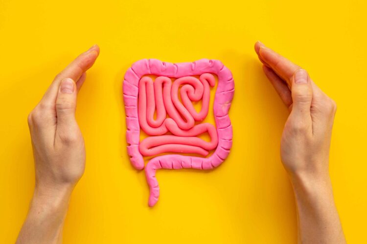 gut health daily habits without dieting