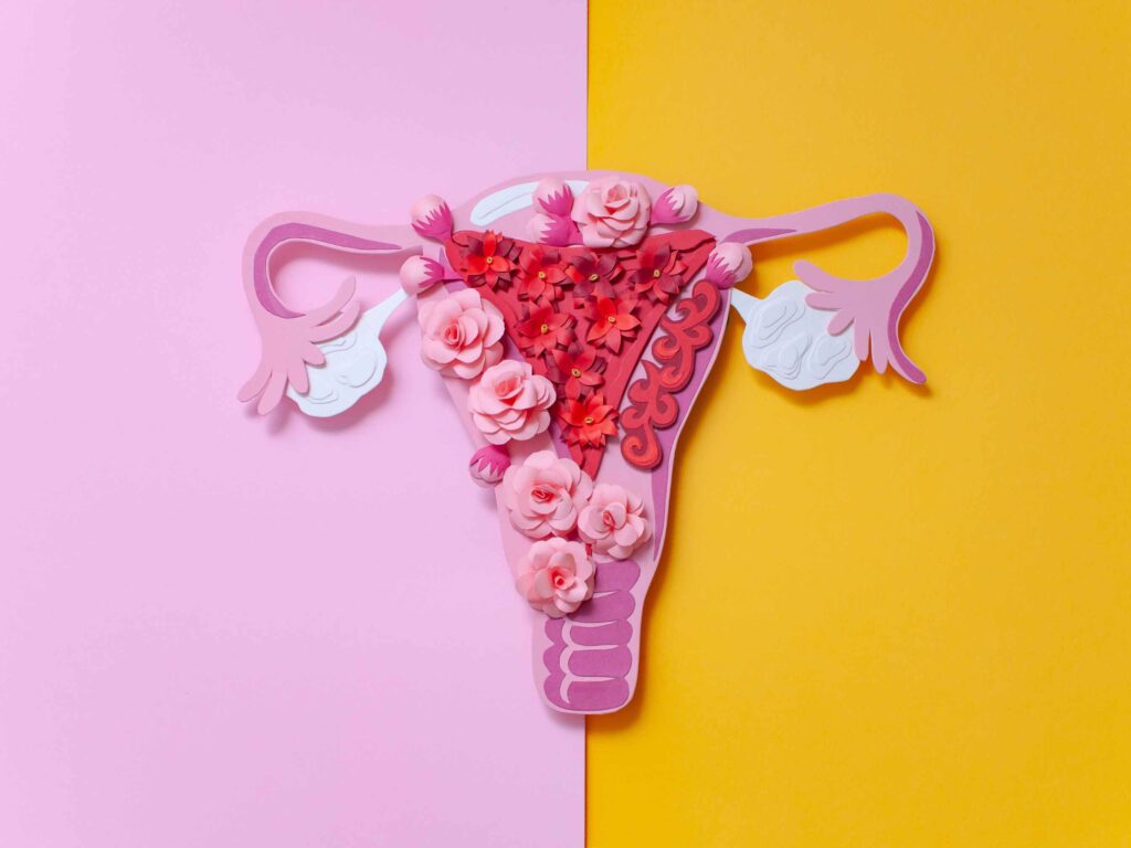 Woman holding her lower abdomen in pain, symbolizing endometriosis and chronic pelvic discomfort