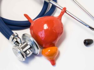 Illustration of prostate health and male reproductive wellness – supporting sexual function and hormonal balance