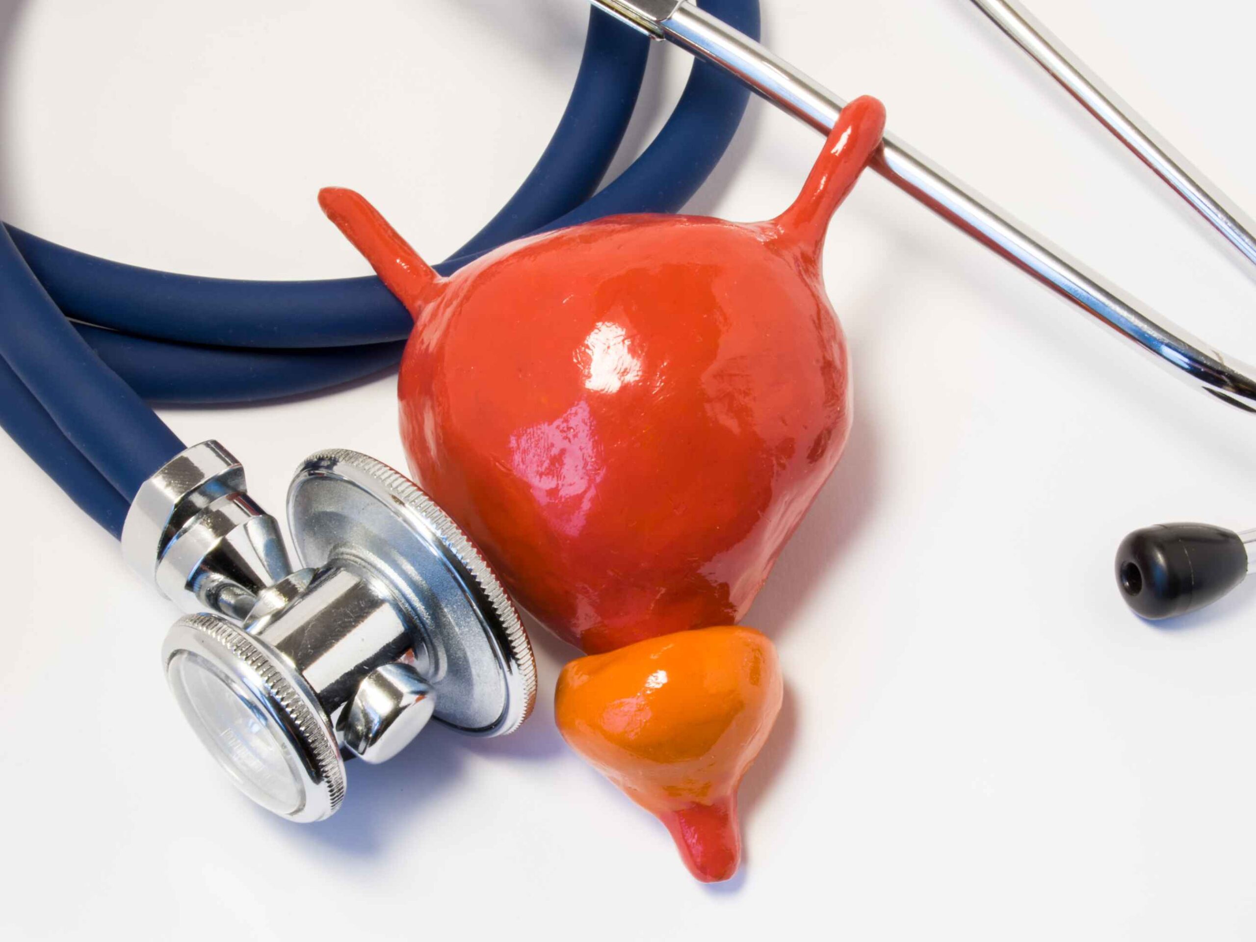 Illustration of prostate health and male reproductive wellness – supporting sexual function and hormonal balance