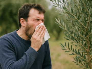 شخص يعطس بجانب شجرة زيتون بسبب حساسية طلع الزيتون