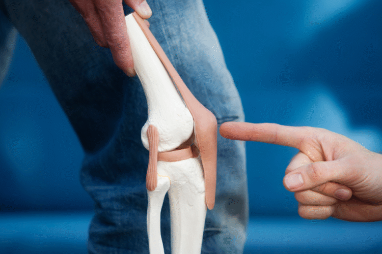 Healthy bones supported by calcium and vitamin D3 supplement VitaCed® Joints